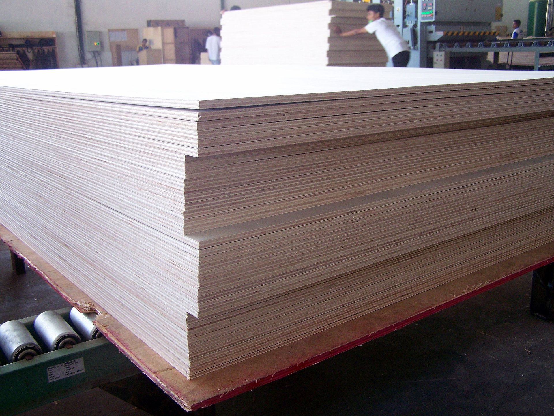 Cutting and finger jointing