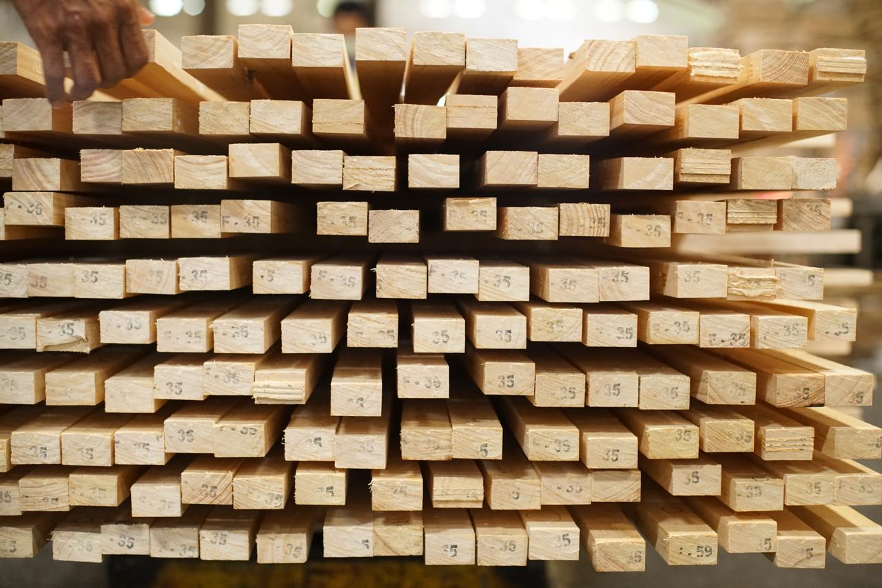 Albizia Falcata FJLB end view